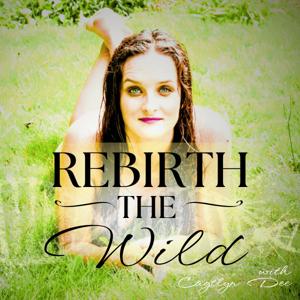 Rebirth The Wild | Pelvic Care & Womb Centric Multidimensional Women's Health
