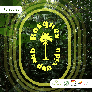 BOSQUES QUE DAN VIDA
