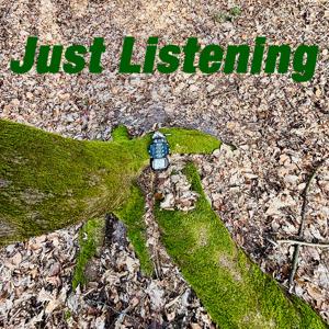 Just Listening