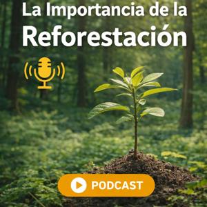 La importancia de la reforestación