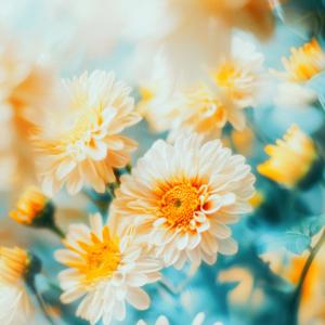 Even when you don’t understand