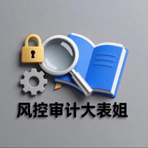 风控审计大表姐