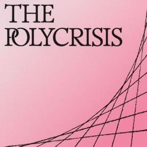 The Polycrisis