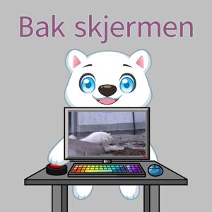 Bak skjermen