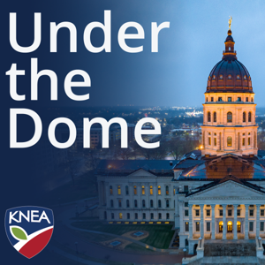 Under the Dome