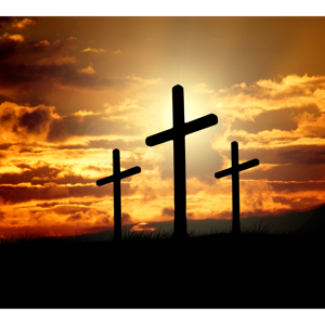 Sowing Seeds Radio Ministry's