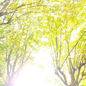 まきこのコンテンツ設計ラボ