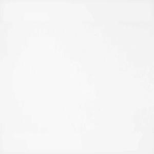 blank