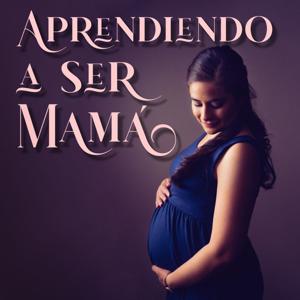 Aprendiendo a Ser Mamá