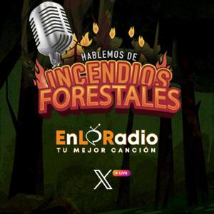 Hablemos de Incendios Forestales