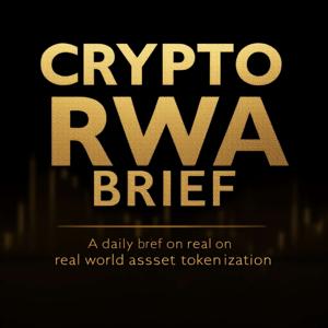Crypto RWA Brief