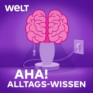 Aha! Zehn Minuten Alltags-Wissen (ICE-Portal)
