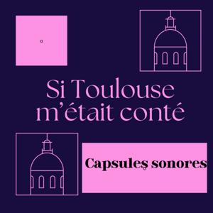 Si Toulouse m'était conté