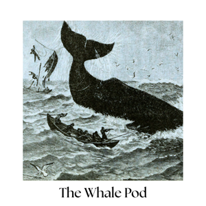 The Whale Pod