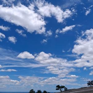 La velocidad del corazón