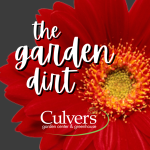 The Garden Dirt