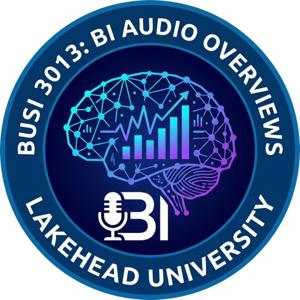 Business Intelligence Class Audio Overviews (BUSI3013)