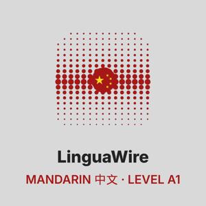 Learn Mandarin A1 with News | Easy Mandarin for Beginners