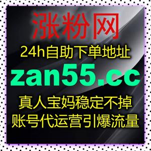 新手入门运营无经验，依靠在线全自动下单轻松上手快速涨数据