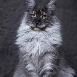 八方斋·睡前听 | 情感·八卦·婚恋