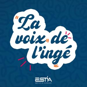 La voix de l'ingé