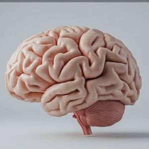 The Aminat Bakare’s  Podcast