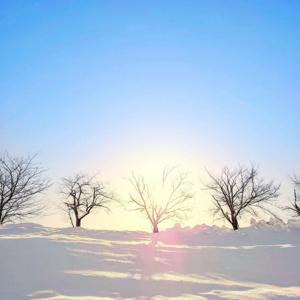 Mỗi ngày một bài học