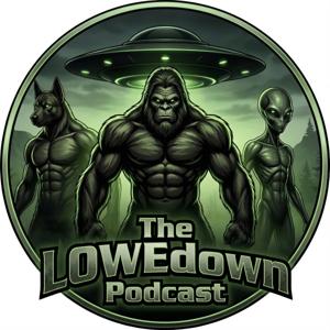 The LOWEdown