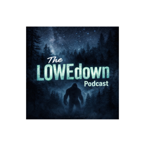 The LOWEdown