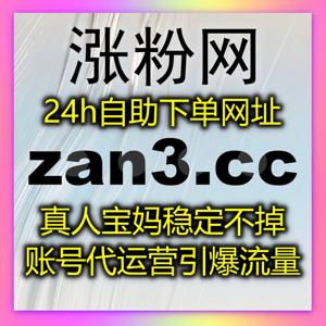 一站式高效处理各类业务，通过在线全自动下单轻松提升账号综合数据