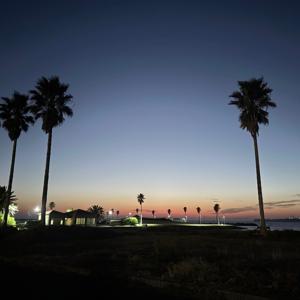 自然音カフェ Nature Sound Cafe