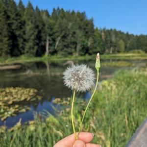 Change Your Day to Change Your Life