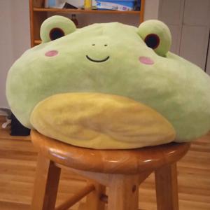 The Frogcord Podcast