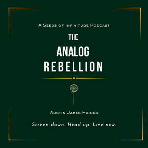 The Analog Rebellion