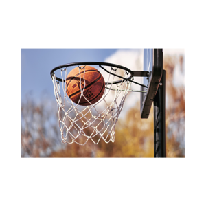 2007 Providence Basketball Season