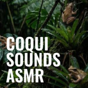 Coqui Sounds | ASMR