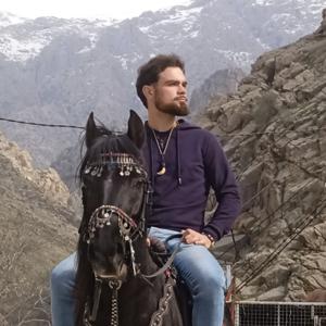 La Anábasis de Roberto