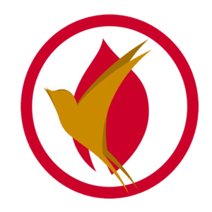 Apostolic Pentecostal Bible Study