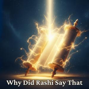 Why Did Rashi Say That?