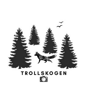 Trollskogen naturfoto