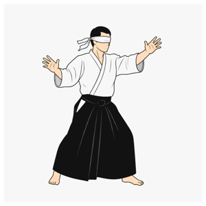 The Aikidiot