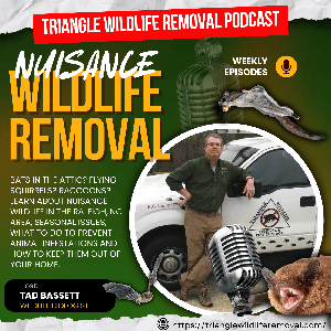Triangle Wildlife Removal Podcast