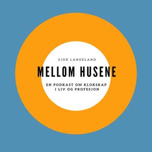 Mellom husene