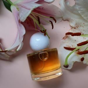 Foundations of Legacy: Building with Purpose