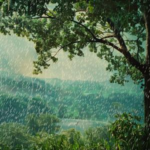 Sleepy Whispers - ASMR for Deep Rest