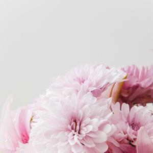 Realidades del Embarazo Adolescente