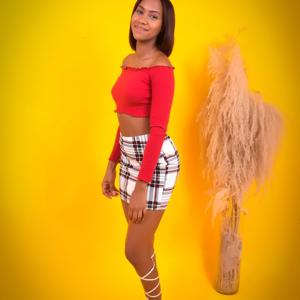 Procesos de colonización (Isla de S.D)