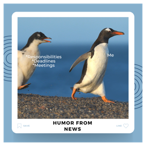 HUMOR FROM NEWS VIDEOS (🔓)