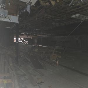 There and Back Tampa