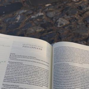 New Testament Reading With Karen